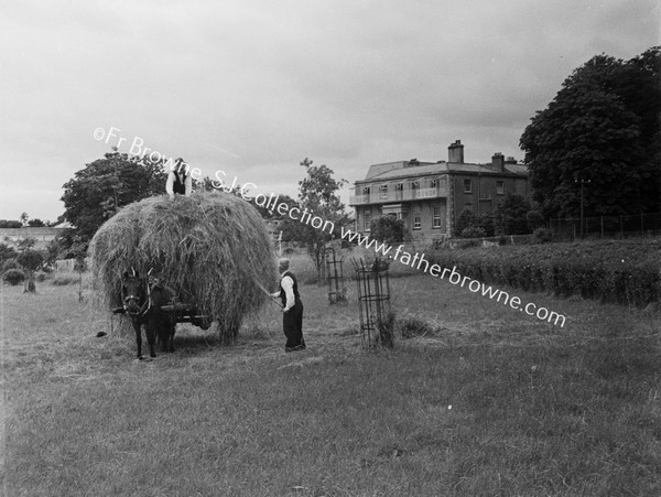 HAYMAKING AT THE OLD HOUSE